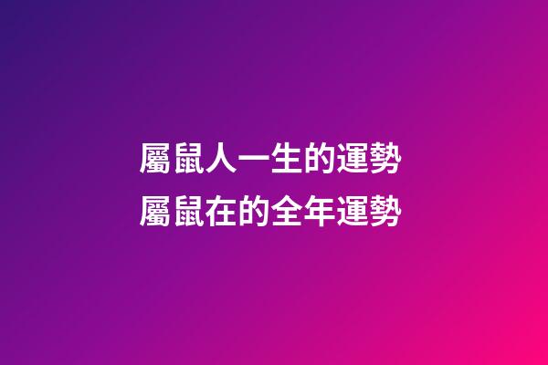 屬鼠人一生的運勢 屬鼠在的全年運勢